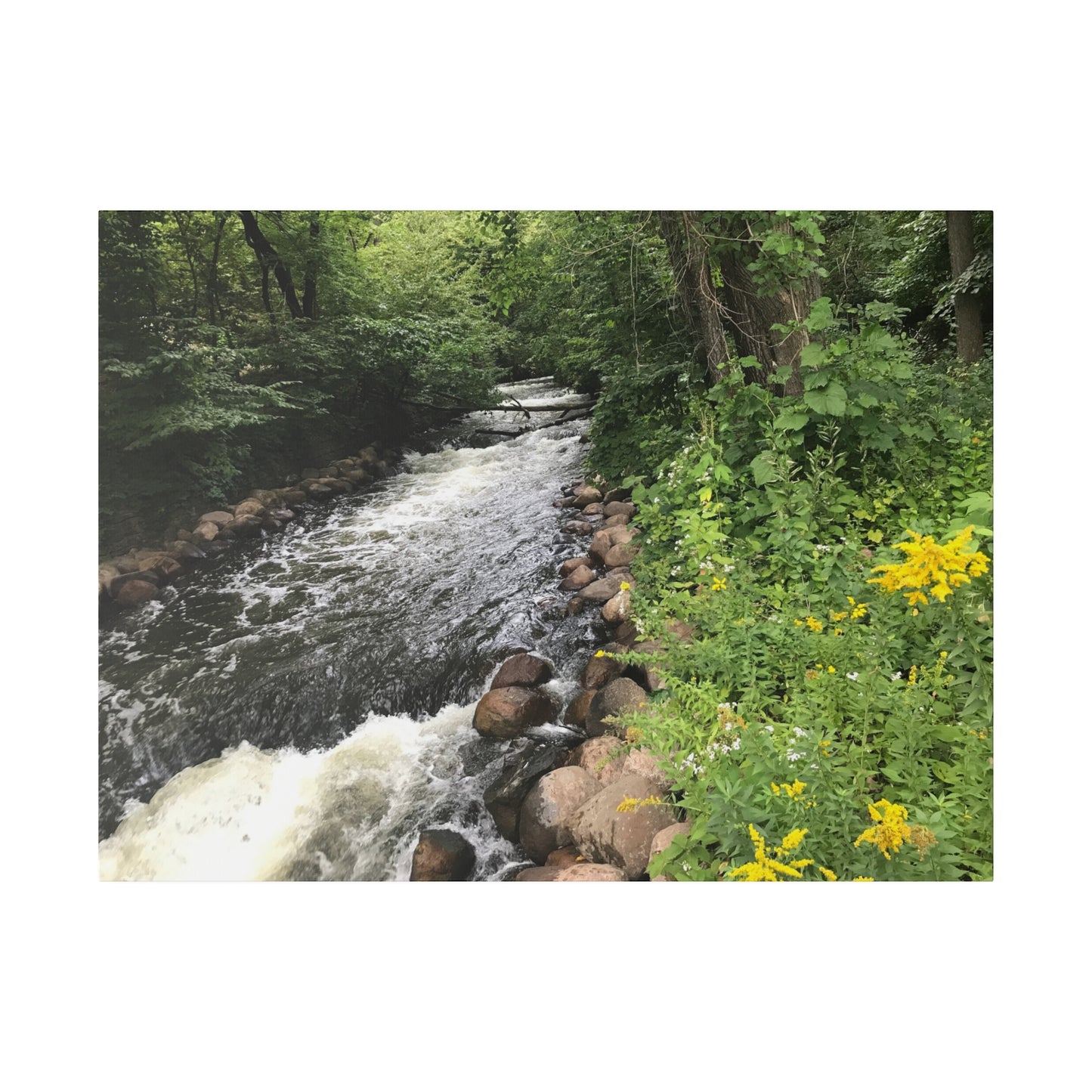 Minnehaha, MN. - Matte Canvas Print and Wall Art, 0.75"
