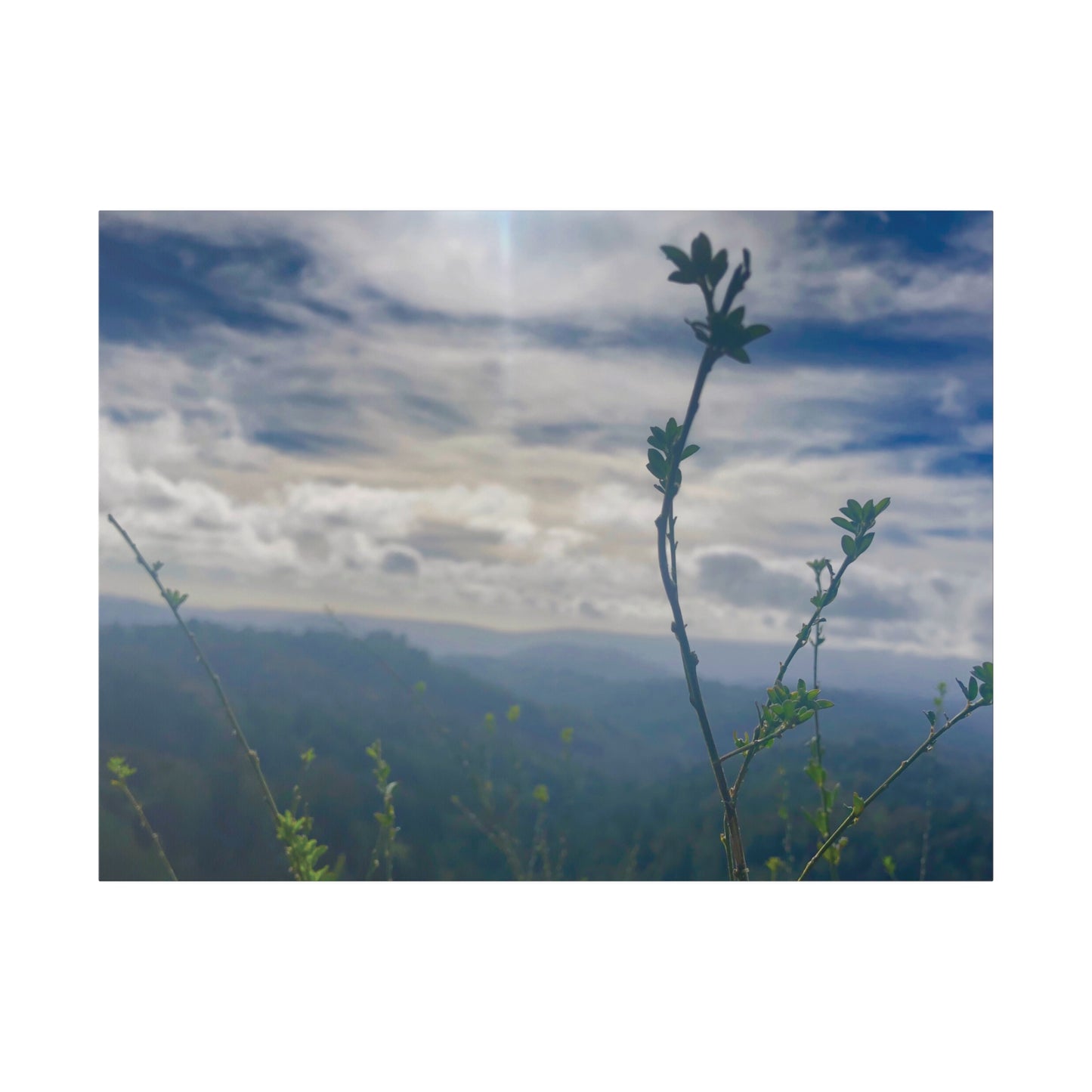 Los Gatos, CA. - Matte Canvas Print and Wall Art, 0.75"