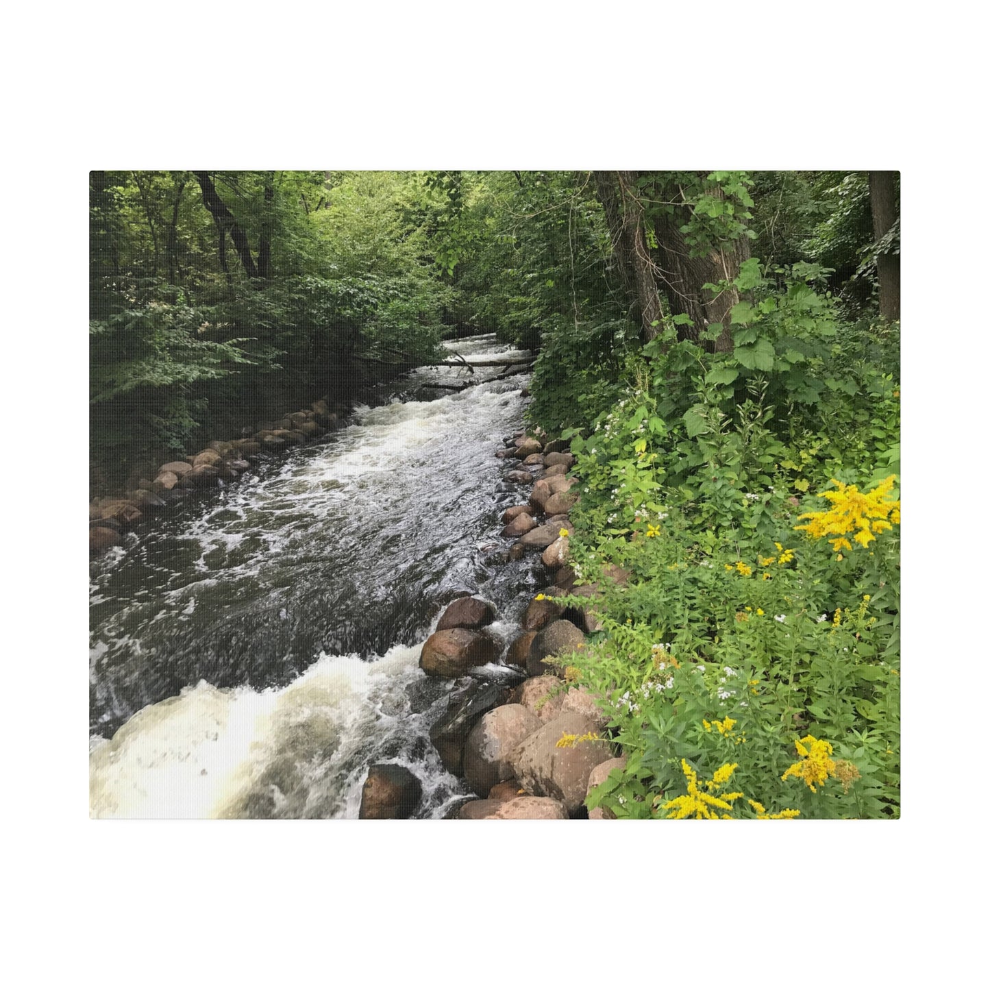Minnehaha, MN. - Matte Canvas Print and Wall Art, 0.75"