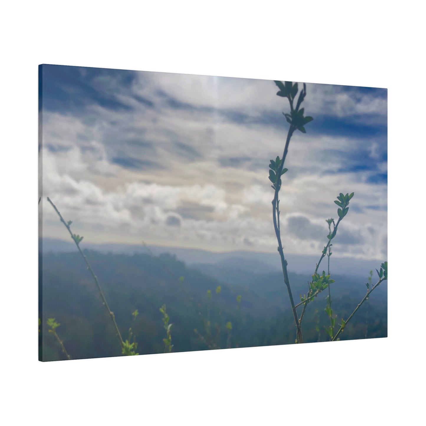 Los Gatos, CA. - Matte Canvas Print and Wall Art, 0.75"