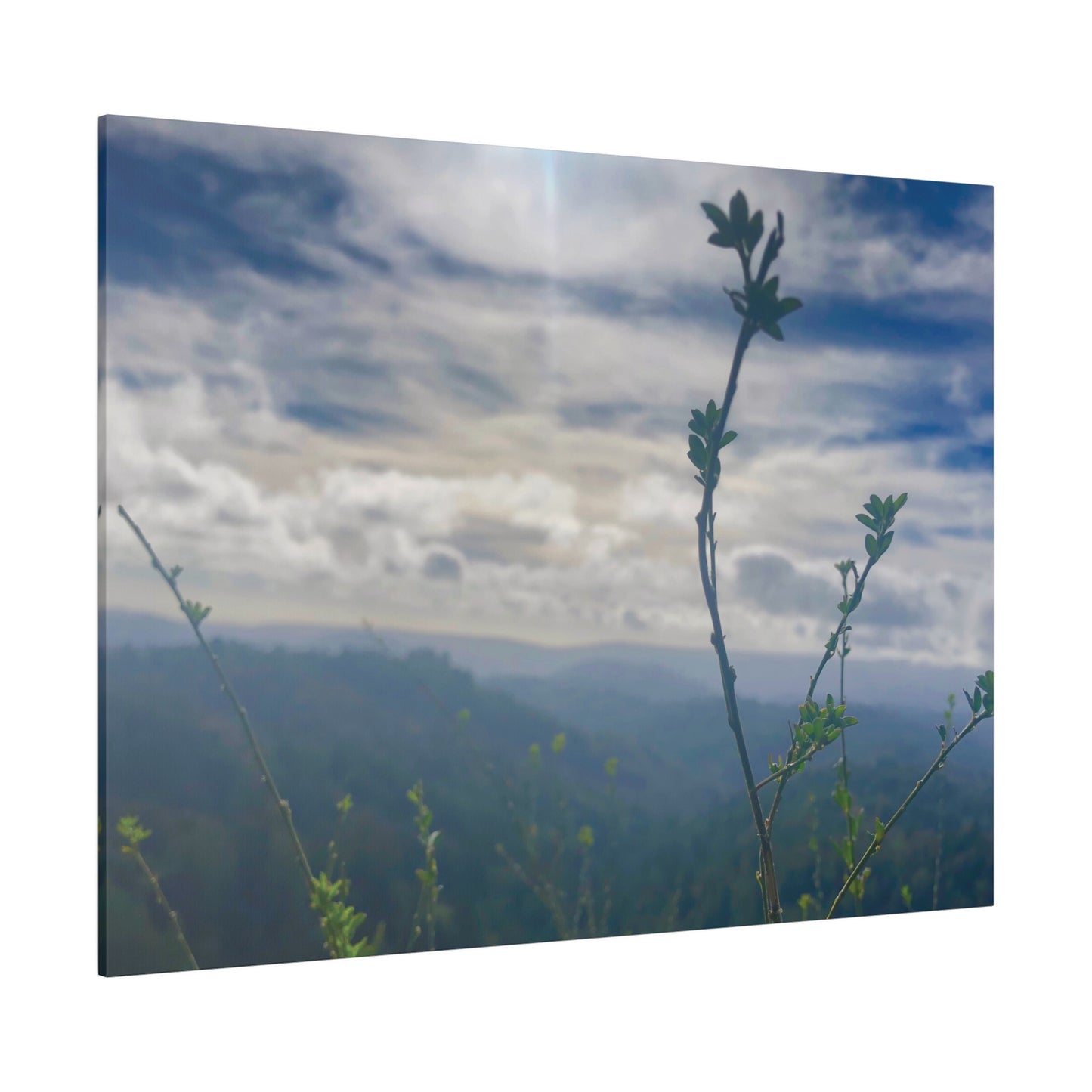 Los Gatos, CA. - Matte Canvas Print and Wall Art, 0.75"