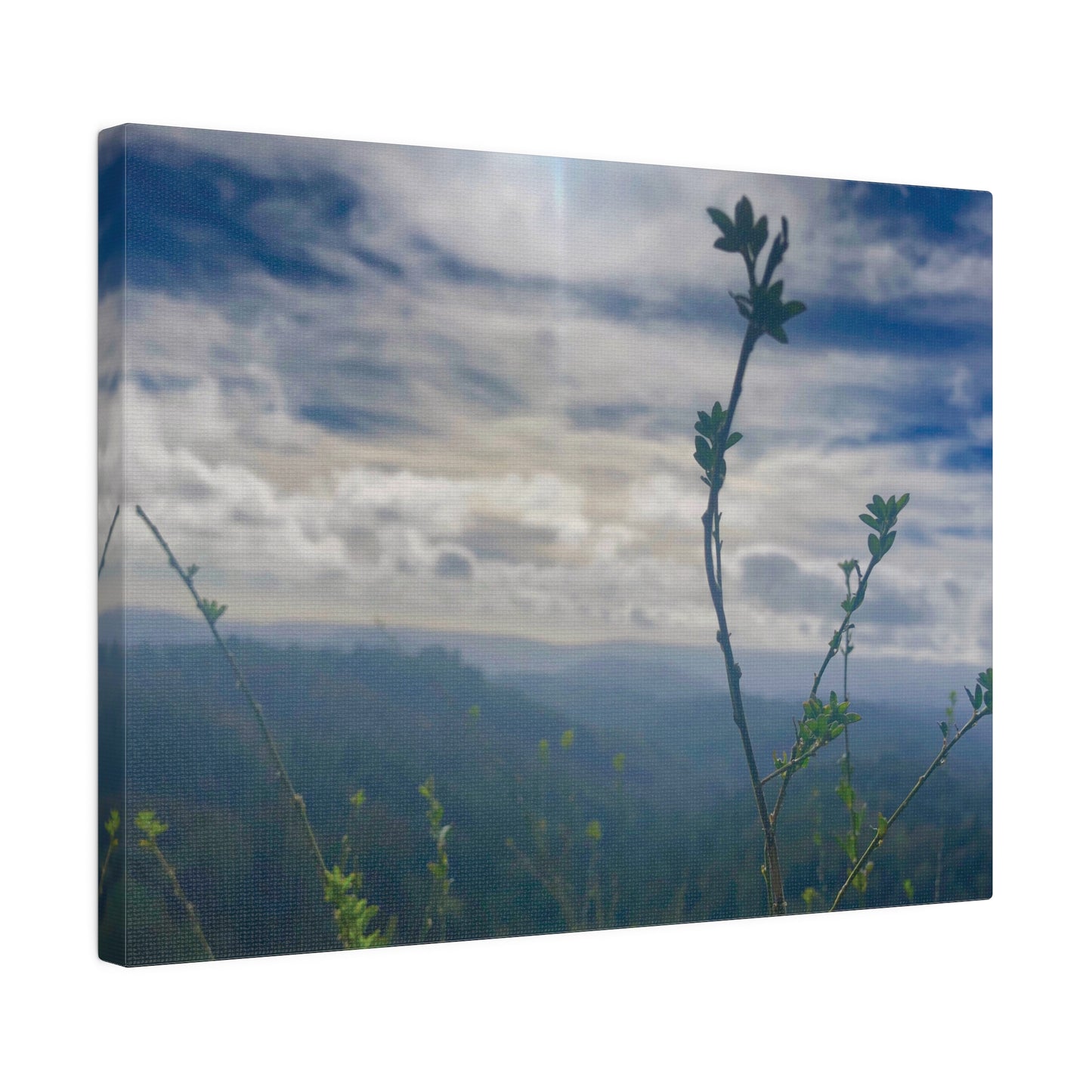 Los Gatos, CA. - Matte Canvas Print and Wall Art, 0.75"