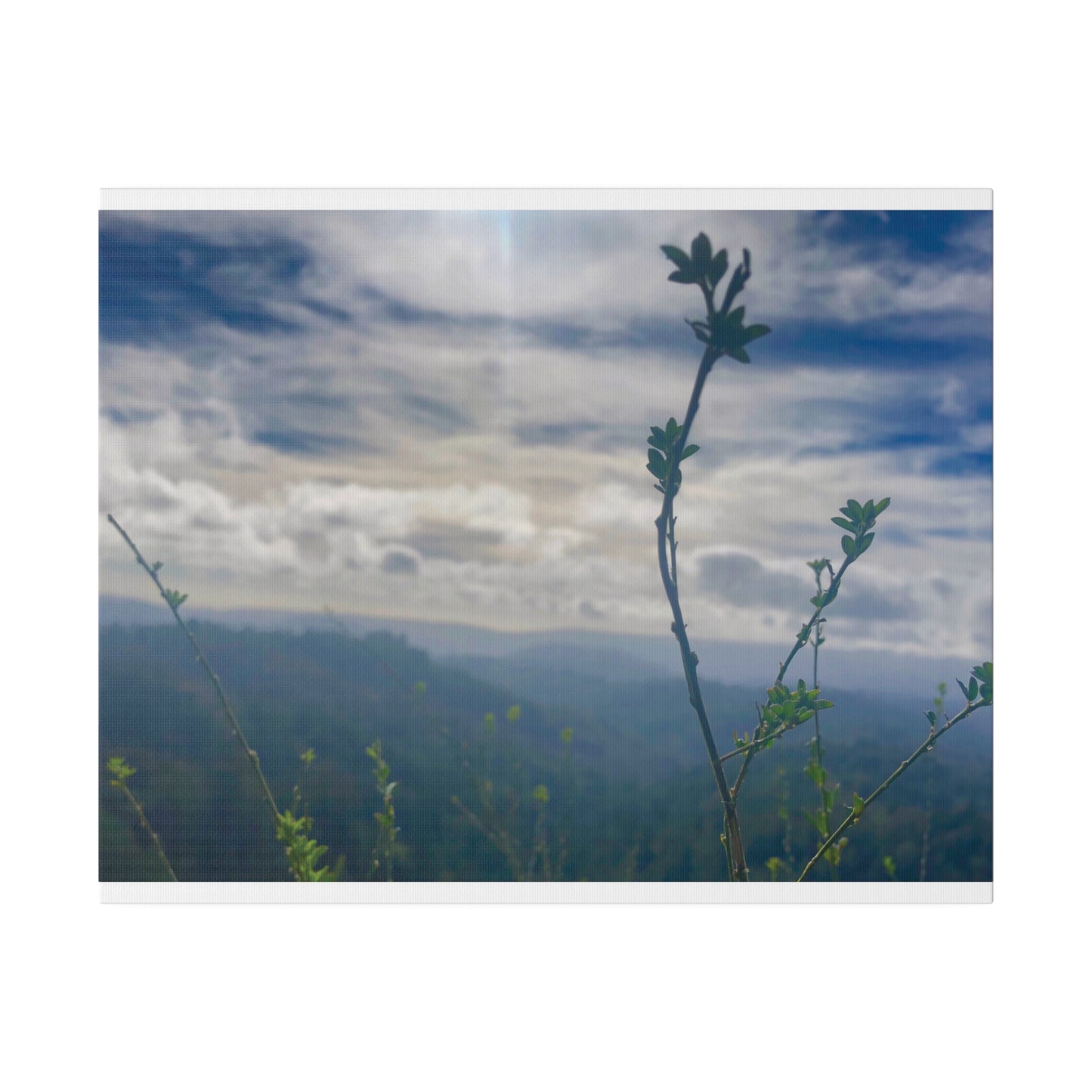 Los Gatos, CA. - Matte Canvas Print and Wall Art, 0.75"