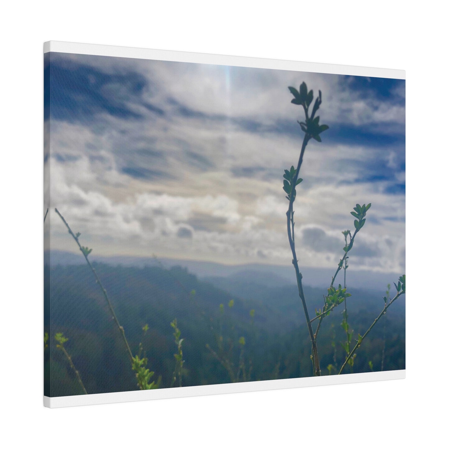 Los Gatos, CA. - Matte Canvas Print and Wall Art, 0.75"