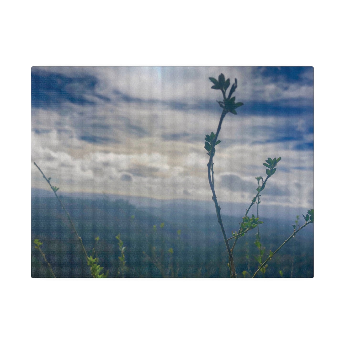 Los Gatos, CA. - Matte Canvas Print and Wall Art, 0.75"