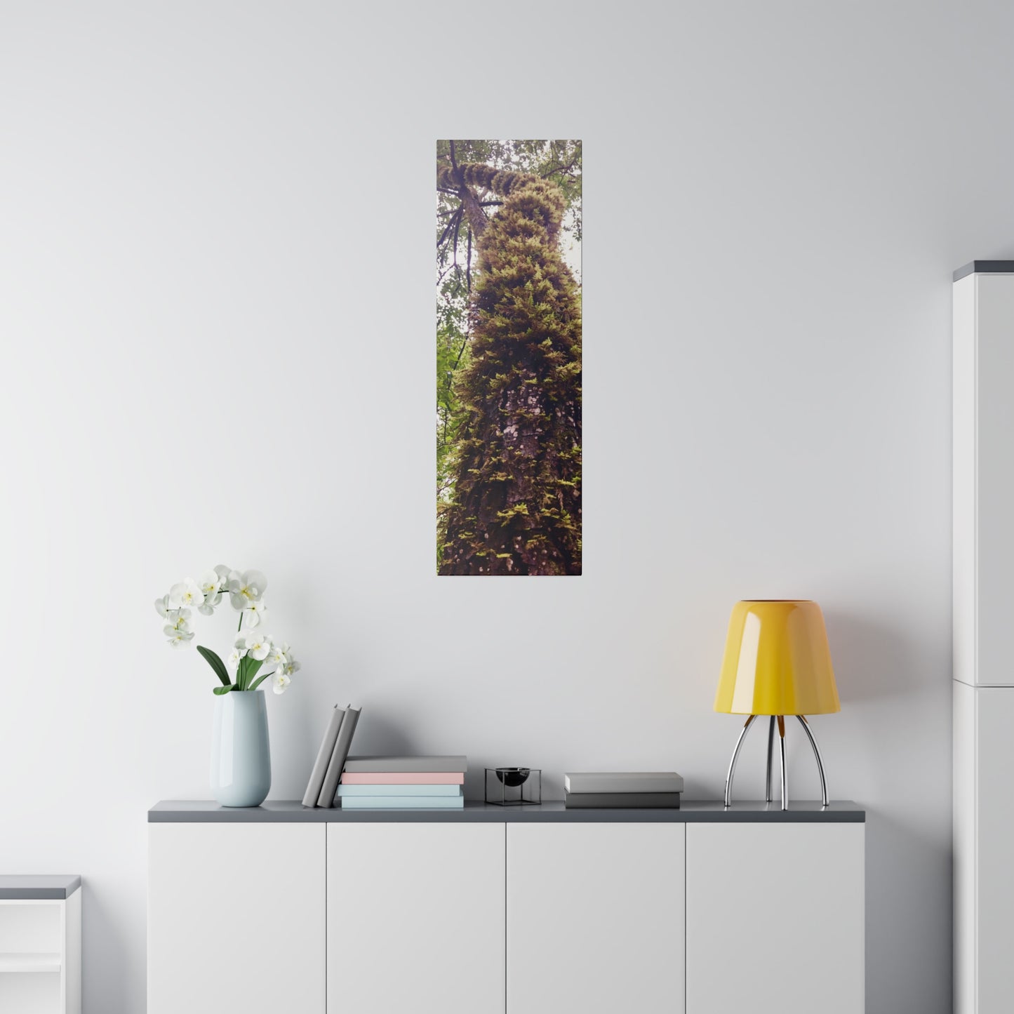 Big Basin Redwood State Park - Matte Canvas Print and Wall Art, Stretched, 0.75"