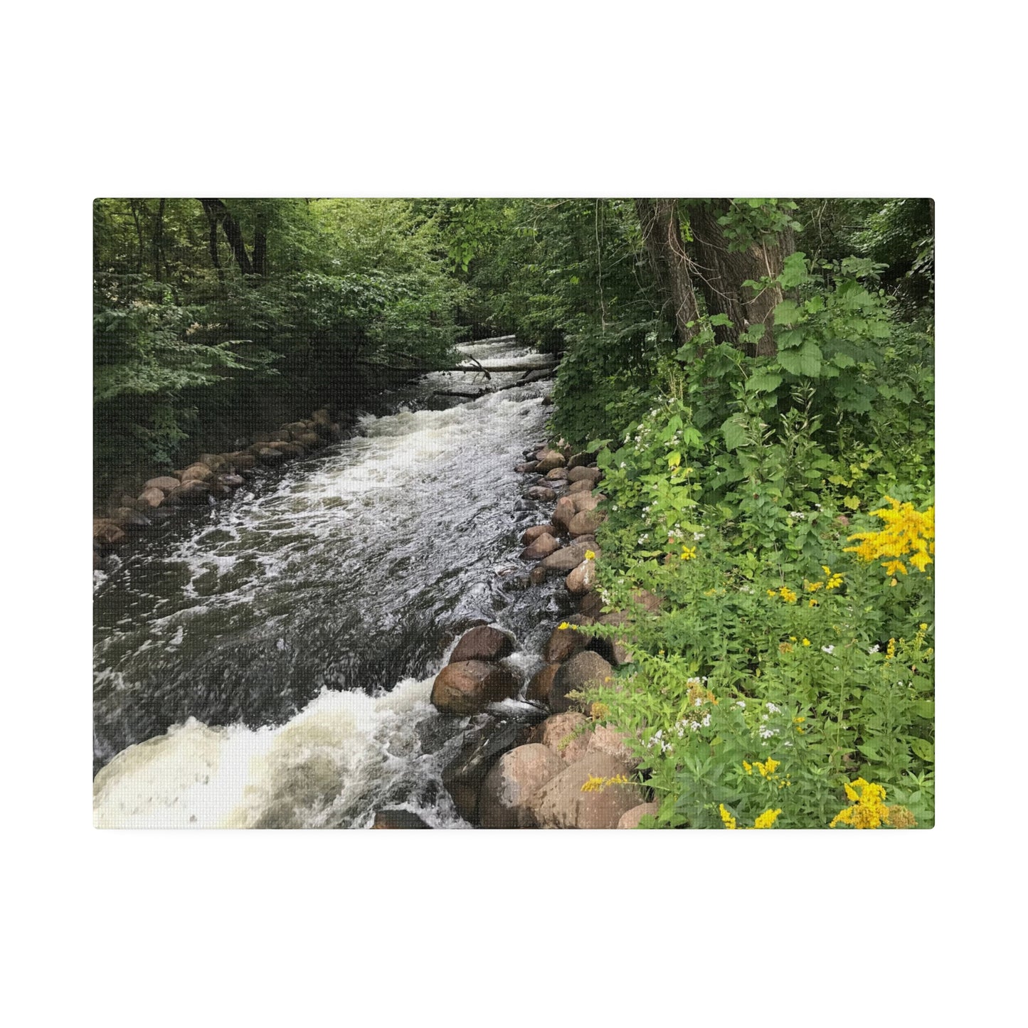 Minnehaha, MN. - Matte Canvas Print and Wall Art, 0.75"