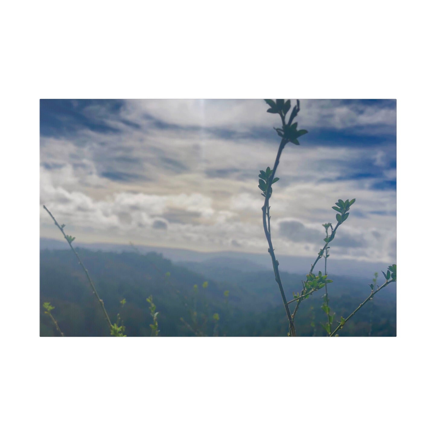 Los Gatos, CA. - Matte Canvas Print and Wall Art, 0.75"