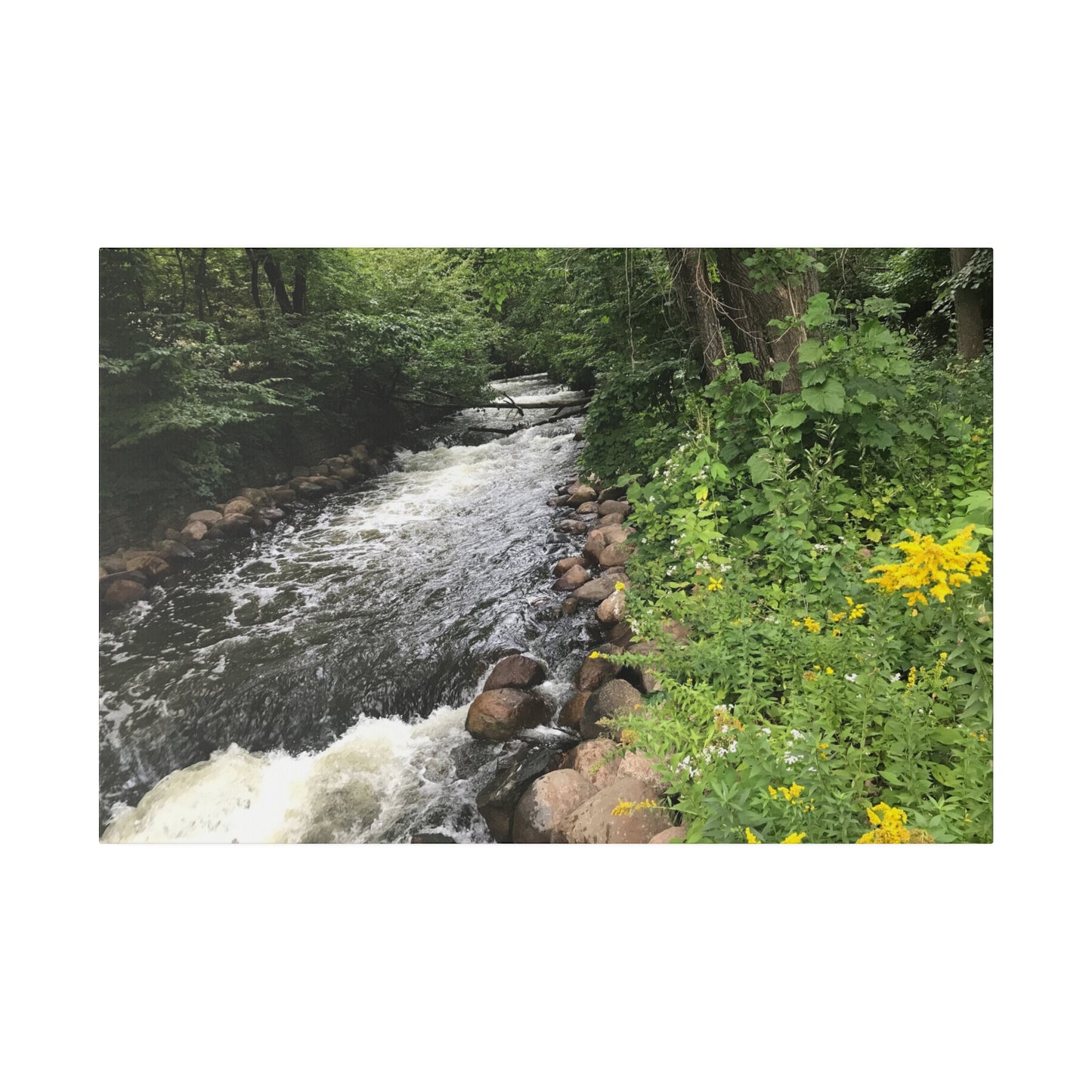Minnehaha, MN. - Matte Canvas Print and Wall Art, 0.75"