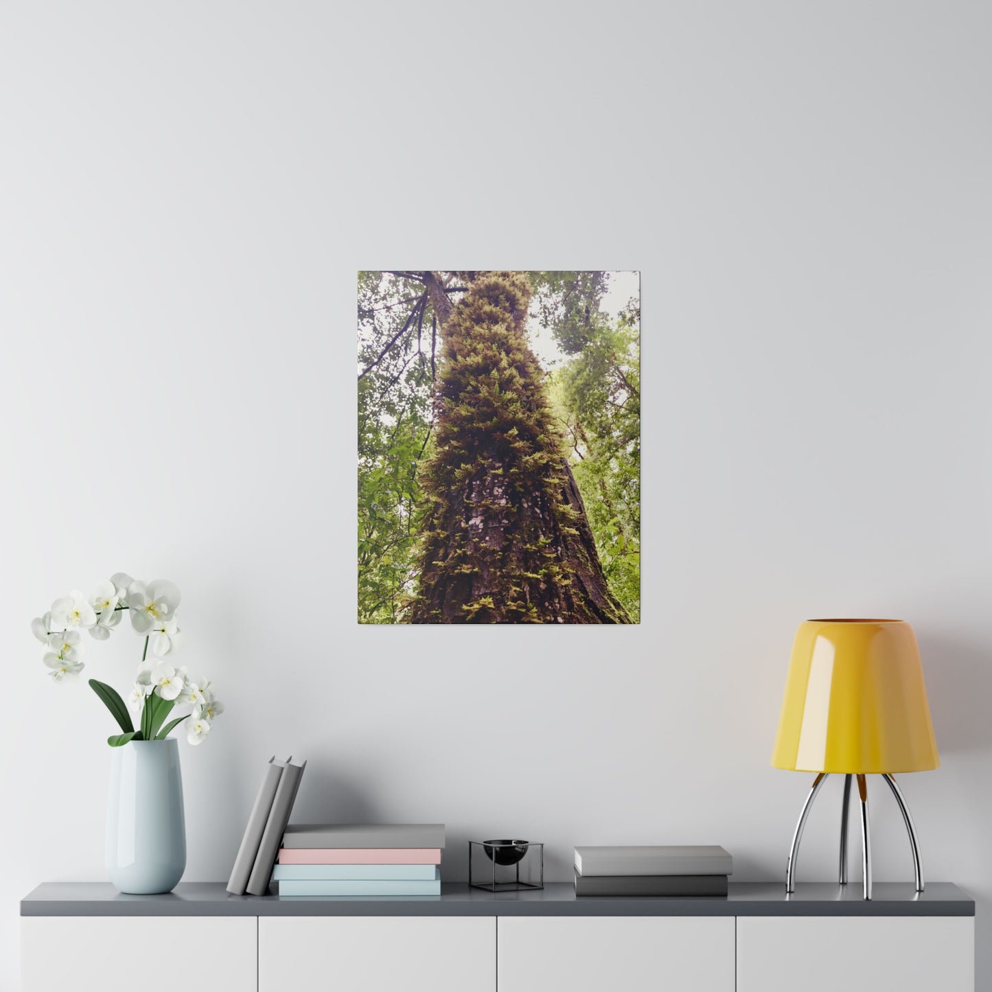 Big Basin Redwood State Park - Matte Canvas Print and Wall Art, Stretched, 0.75"