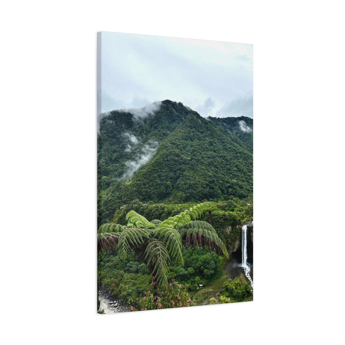 Andes Mountains, Ecuador, Canvas Print and Wall Art