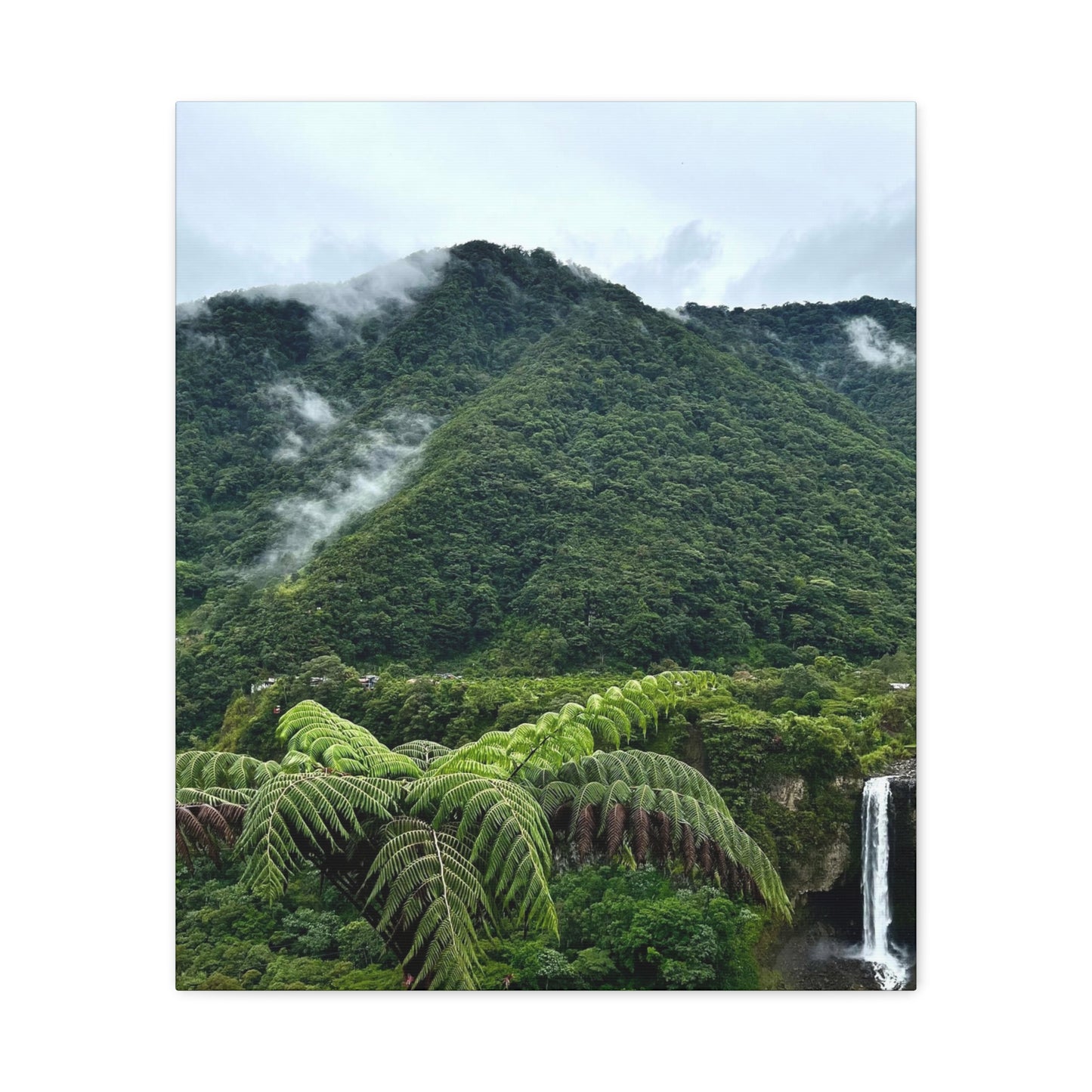 Andes Mountains, Ecuador, Canvas Print and Wall Art