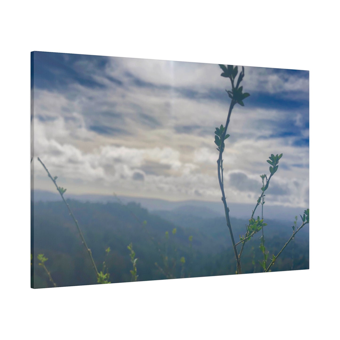 Los Gatos, CA.  - Matte Canvas Print and Wall Art, 0.75"