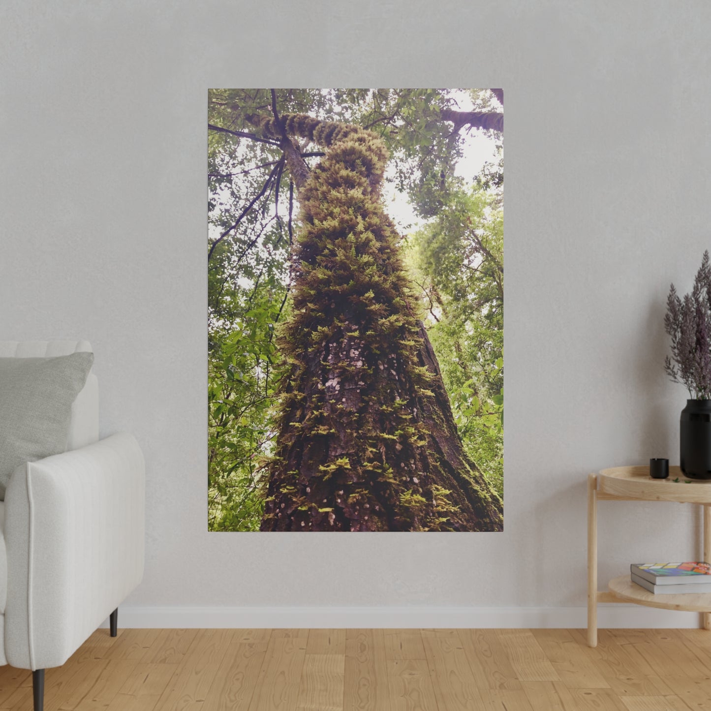 Big Basin Redwood State Park - Matte Canvas Print and Wall Art, Stretched, 0.75"