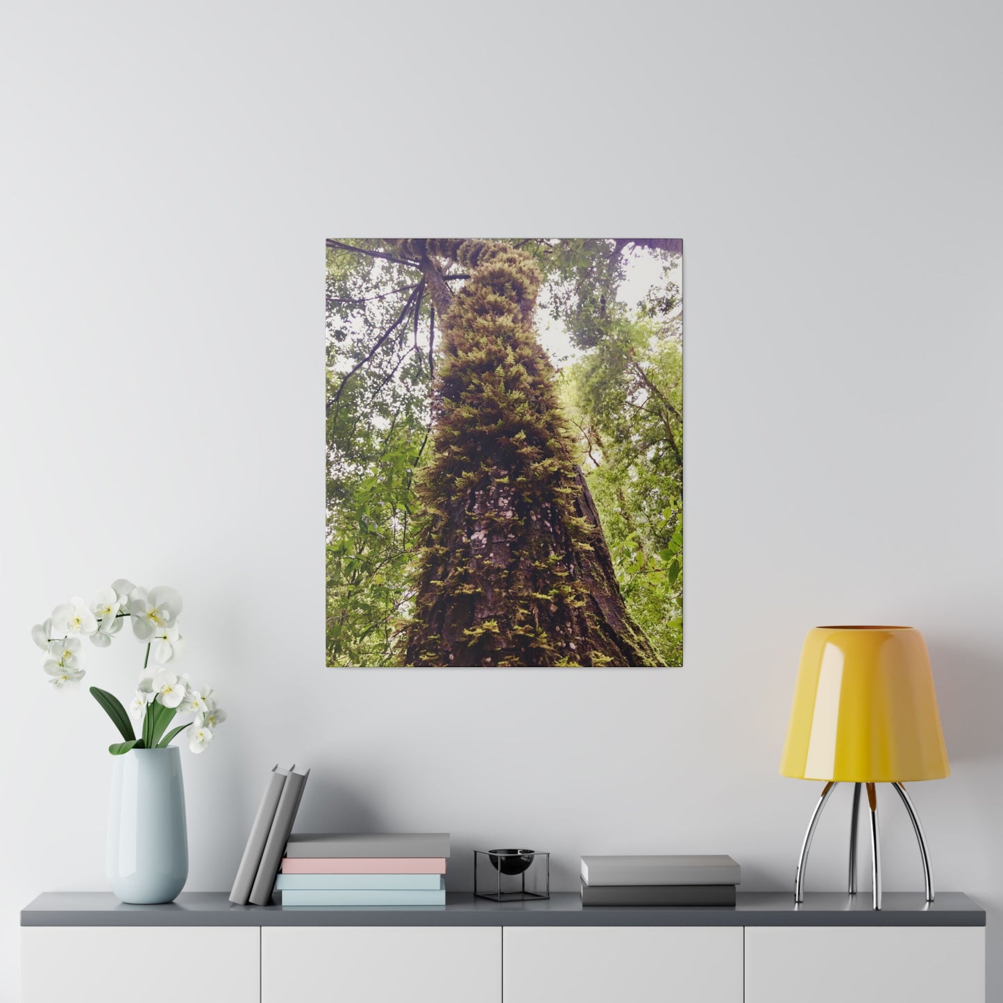 Big Basin Redwood State Park - Matte Canvas Print and Wall Art, Stretched, 0.75"