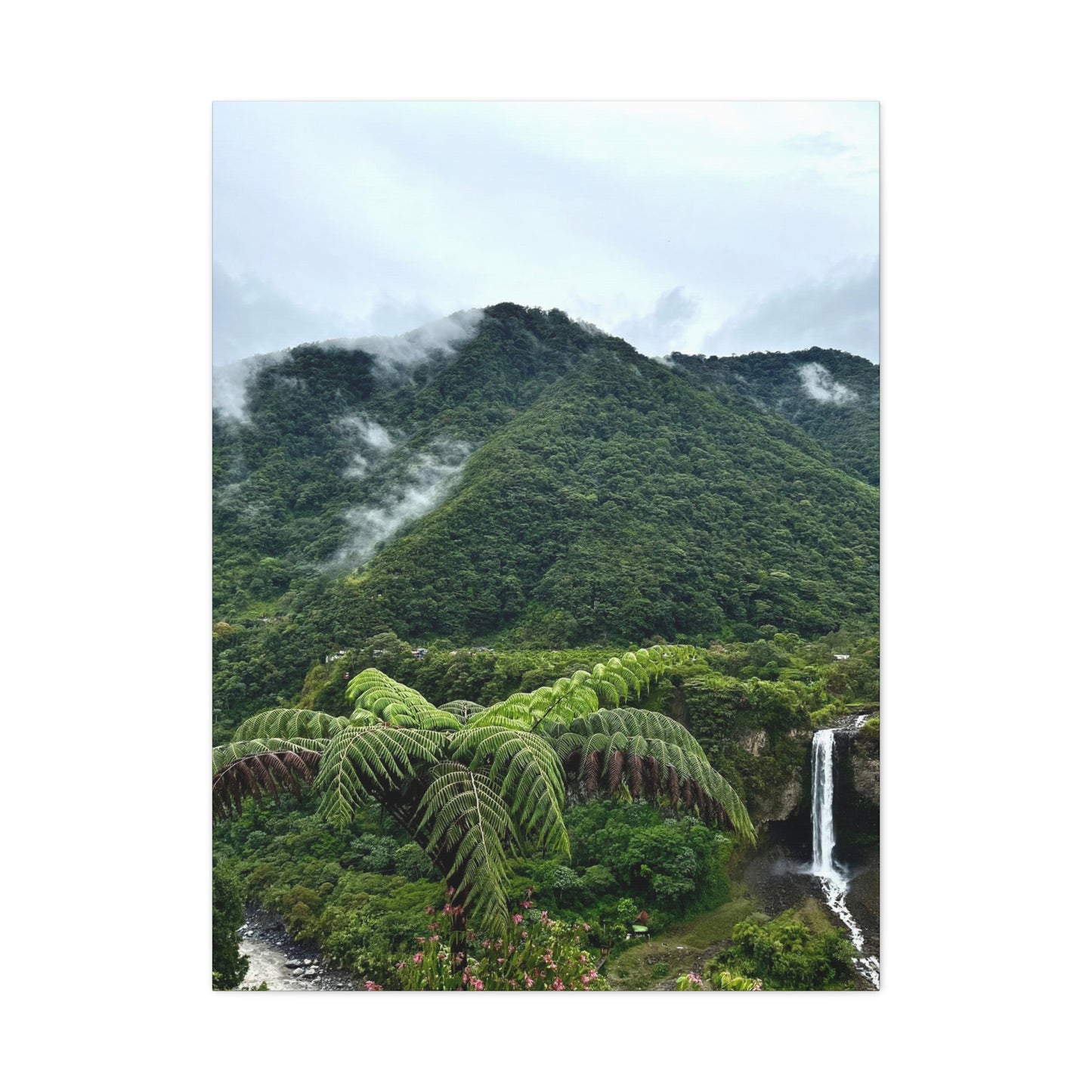 Andes Mountains, Ecuador, Canvas Print and Wall Art