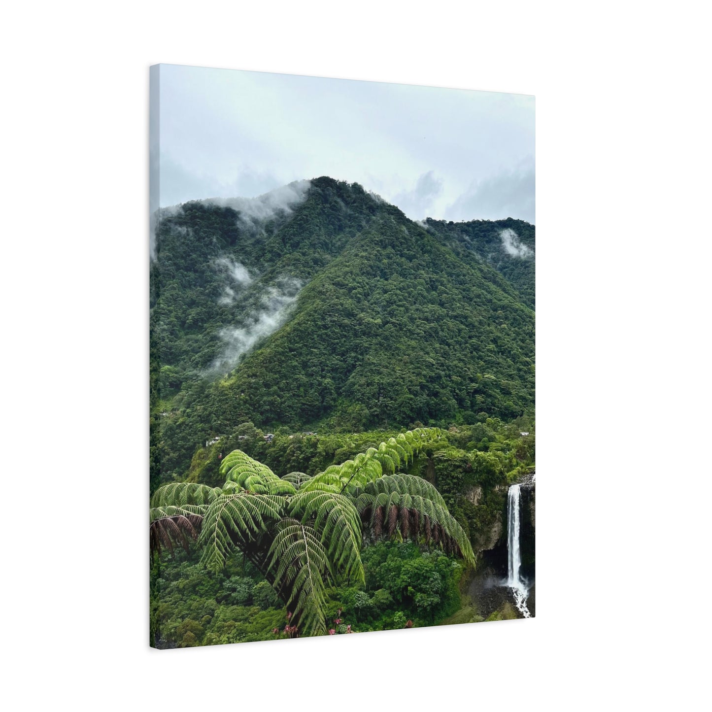 Andes Mountains, Ecuador, Canvas Print and Wall Art