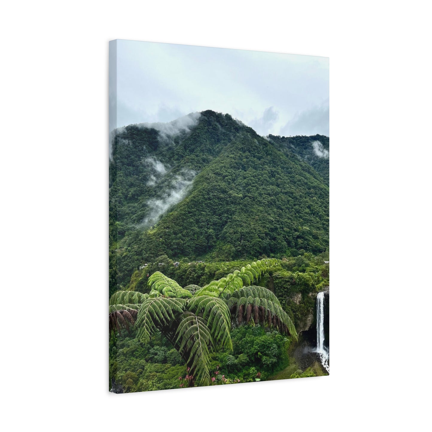 Andes Mountains, Ecuador, Canvas Print and Wall Art