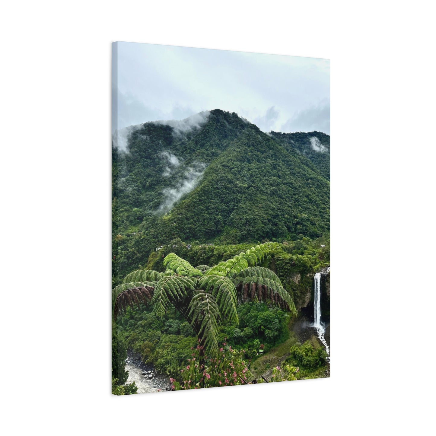 Andes Mountains, Ecuador, Canvas Print and Wall Art