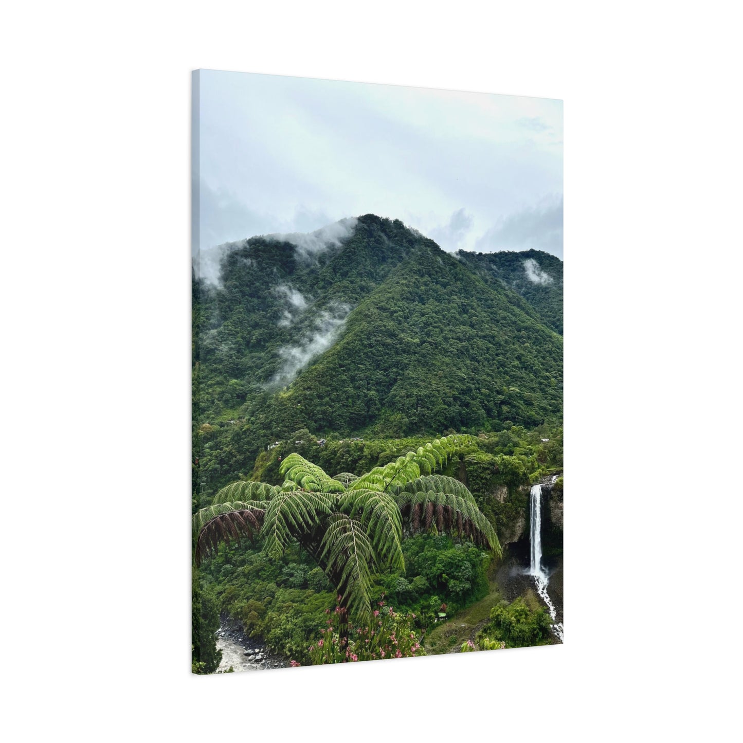 Andes Mountains, Ecuador, Canvas Print and Wall Art