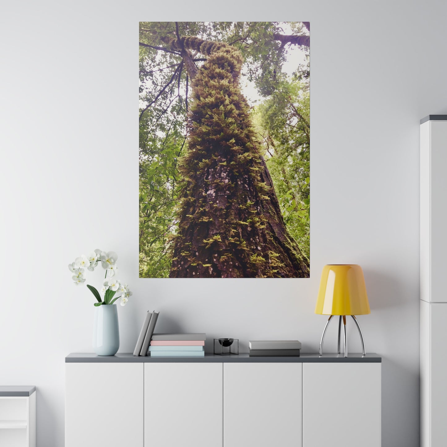 Big Basin Redwood State Park - Matte Canvas Print and Wall Art, Stretched, 0.75"