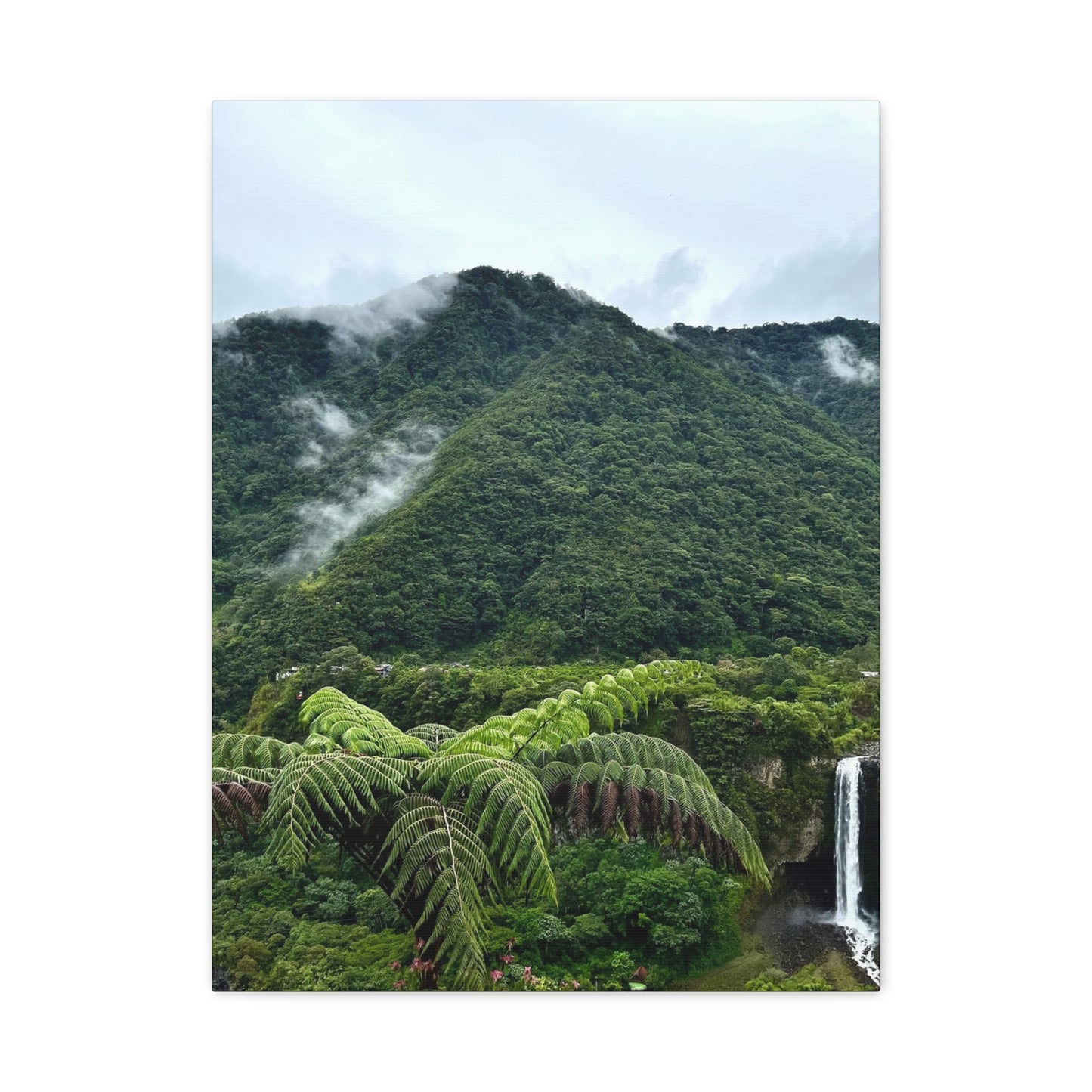 Andes Mountains, Ecuador, Canvas Print and Wall Art