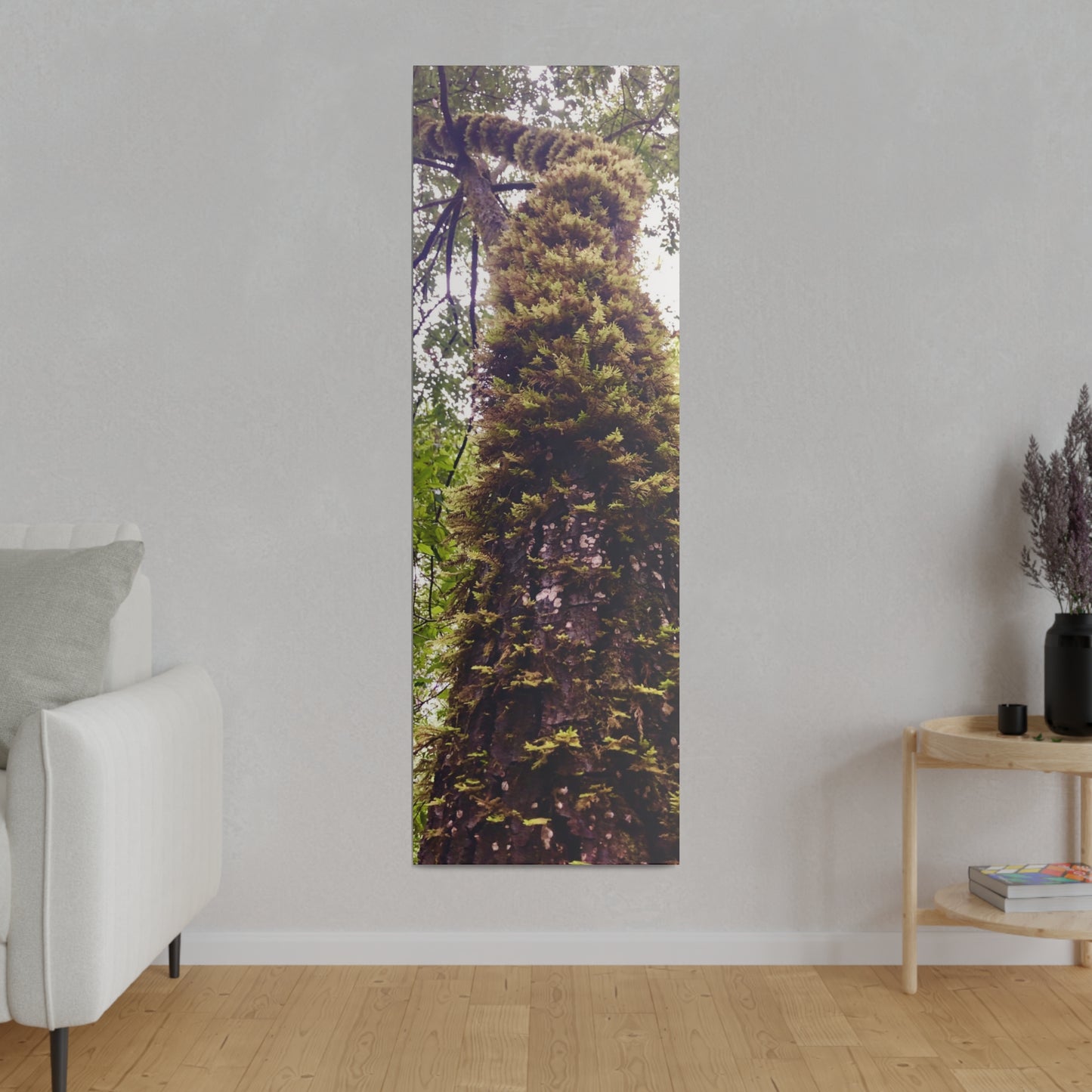 Big Basin Redwood State Park - Matte Canvas Print and Wall Art, Stretched, 0.75"