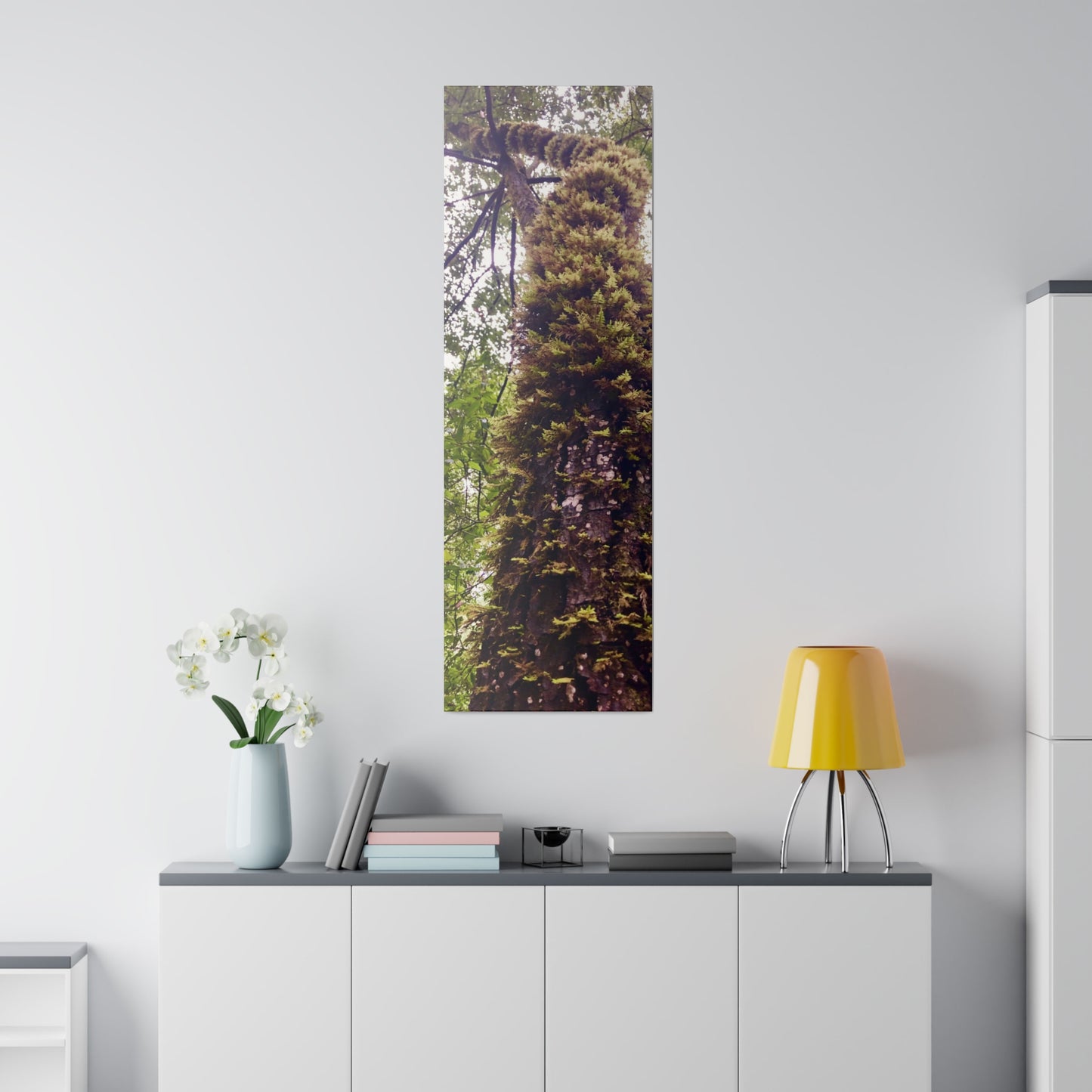 Big Basin Redwood State Park - Matte Canvas Print and Wall Art, Stretched, 0.75"