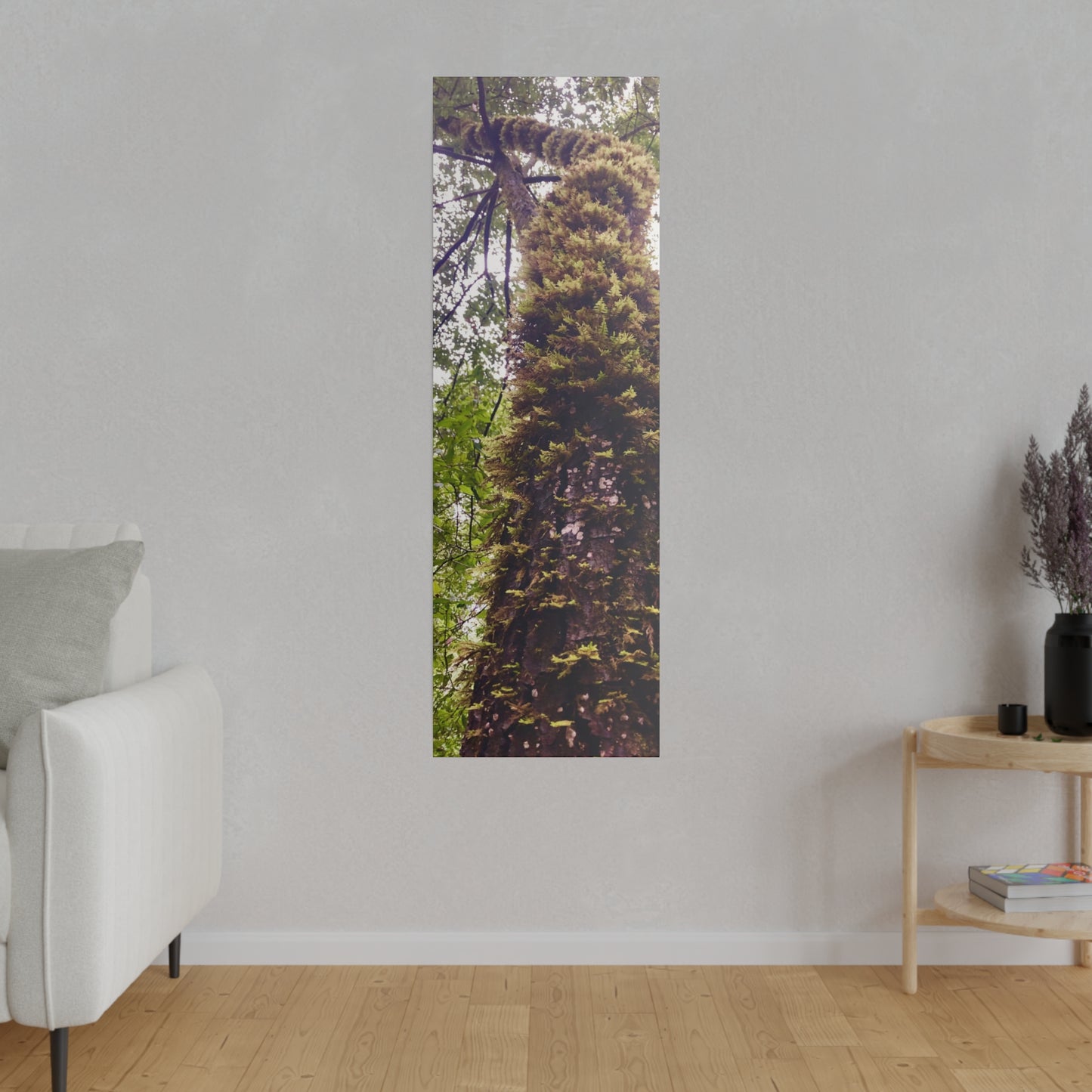 Big Basin Redwood State Park - Matte Canvas Print and Wall Art, Stretched, 0.75"