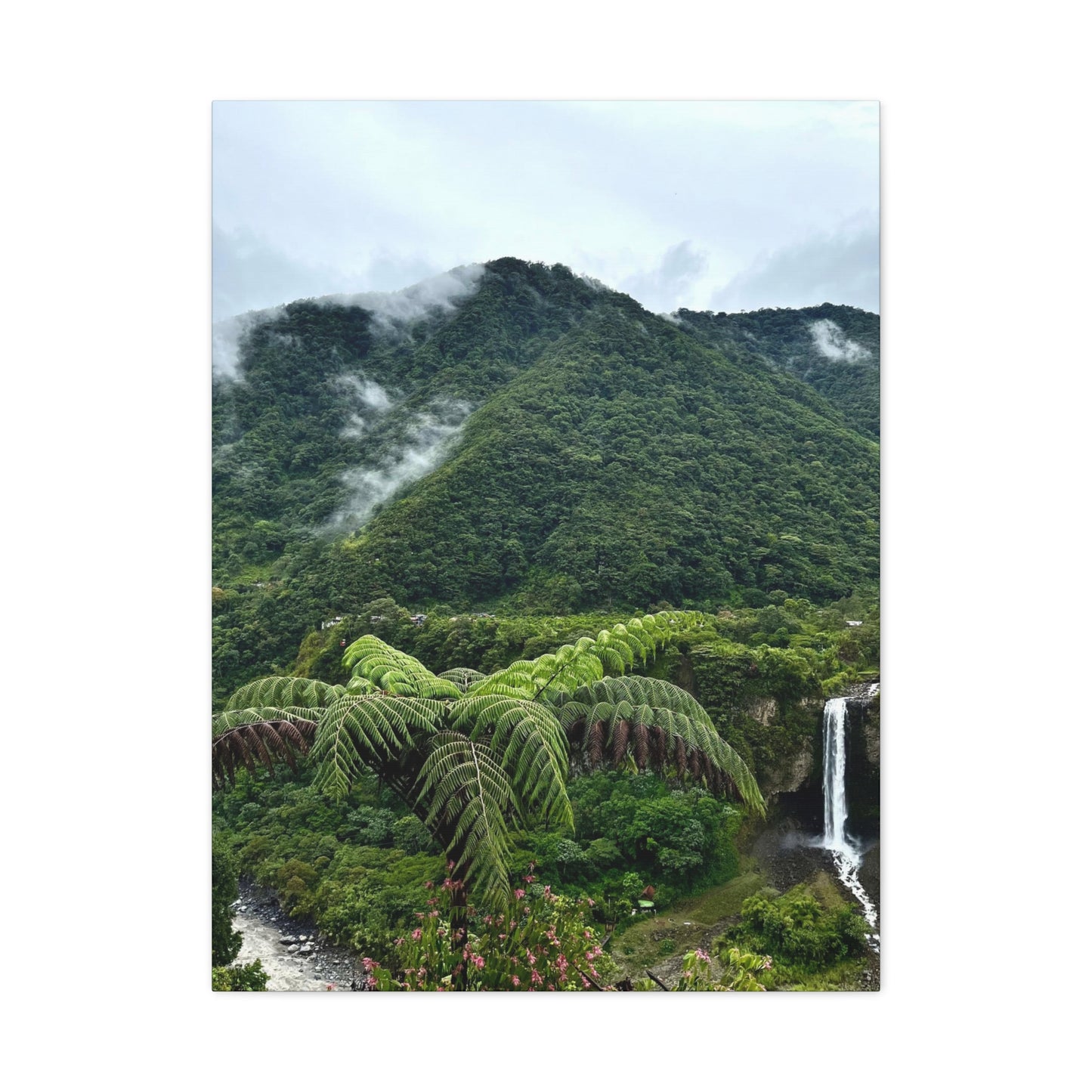 Andes Mountains, Ecuador, Canvas Print and Wall Art