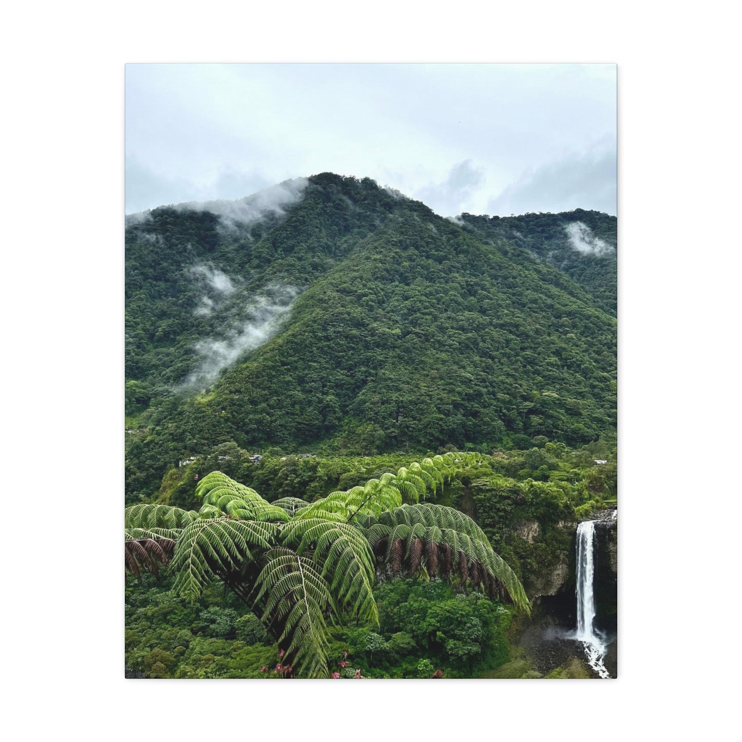 Andes Mountains, Ecuador, Canvas Print and Wall Art