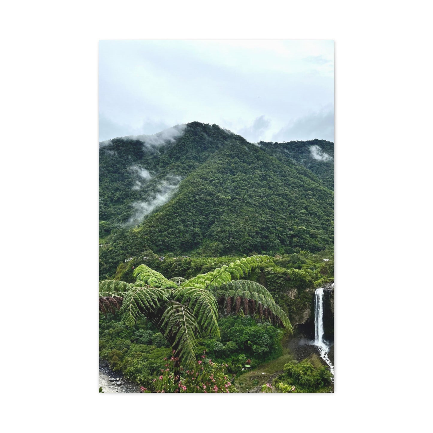 Andes Mountains, Ecuador, Canvas Print and Wall Art