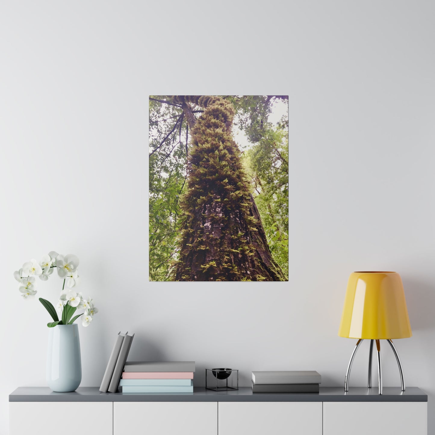 Big Basin Redwood State Park - Matte Canvas Print and Wall Art, Stretched, 0.75"