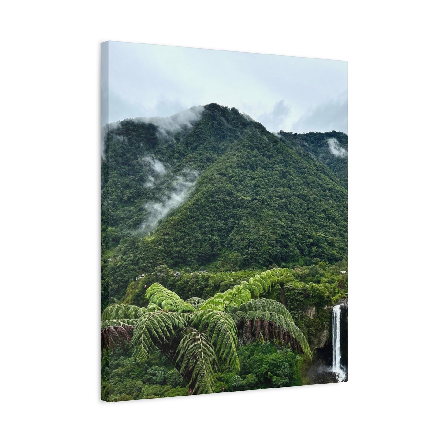 Andes Mountains, Ecuador, Canvas Print and Wall Art